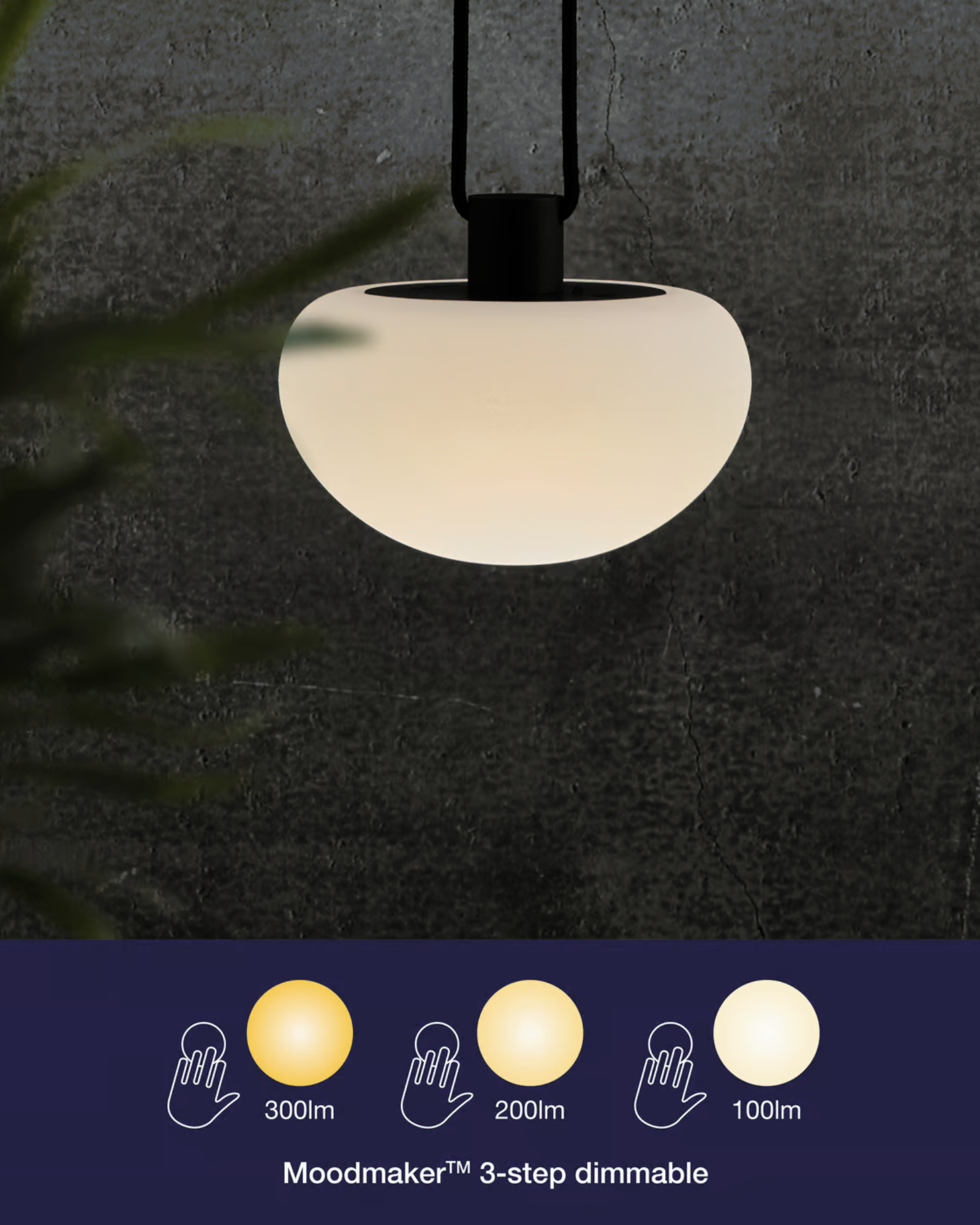 Sponge Pendant Light