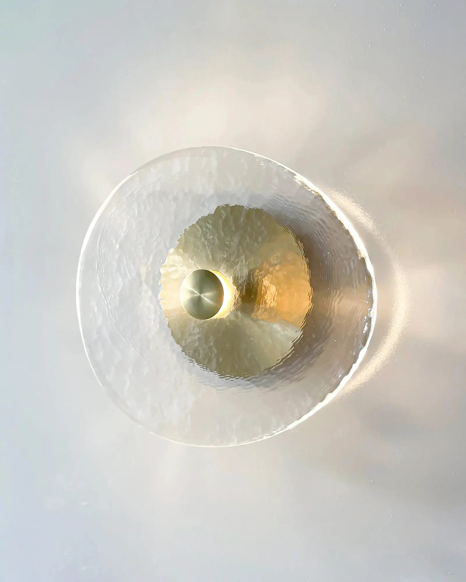 coral organic blown glass wall light