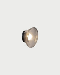Agua Wall Light