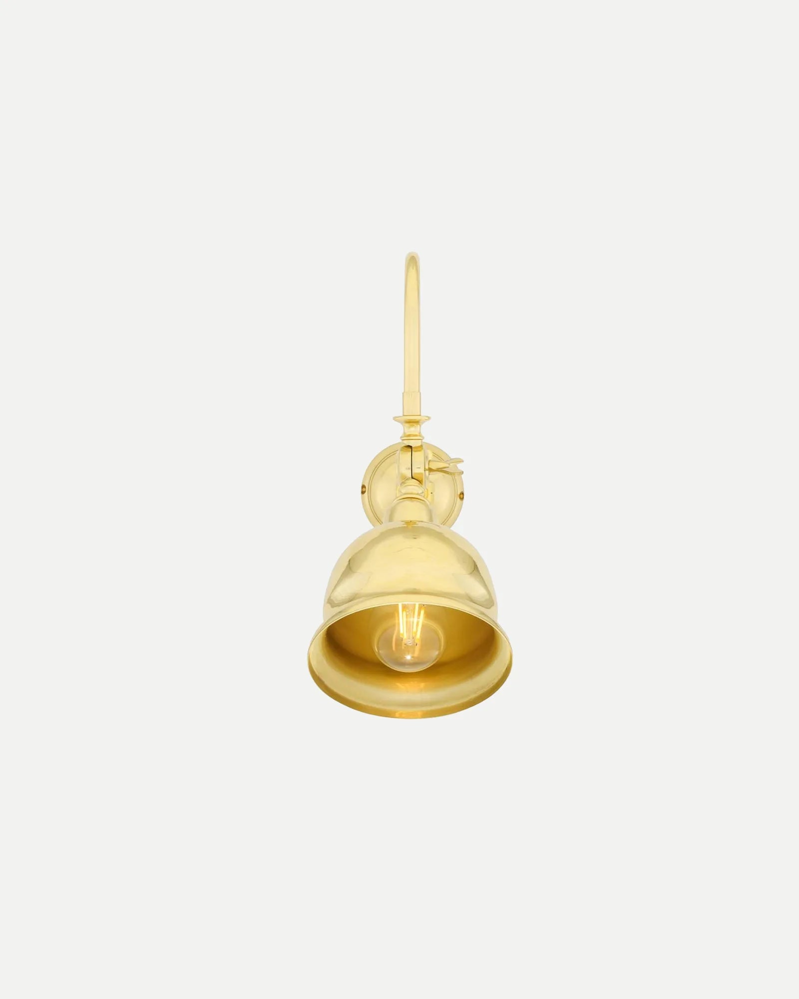 Apia Swivel Picture Light
