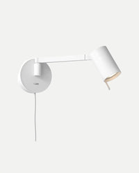 Ascoli Swing Plug In Wall Light