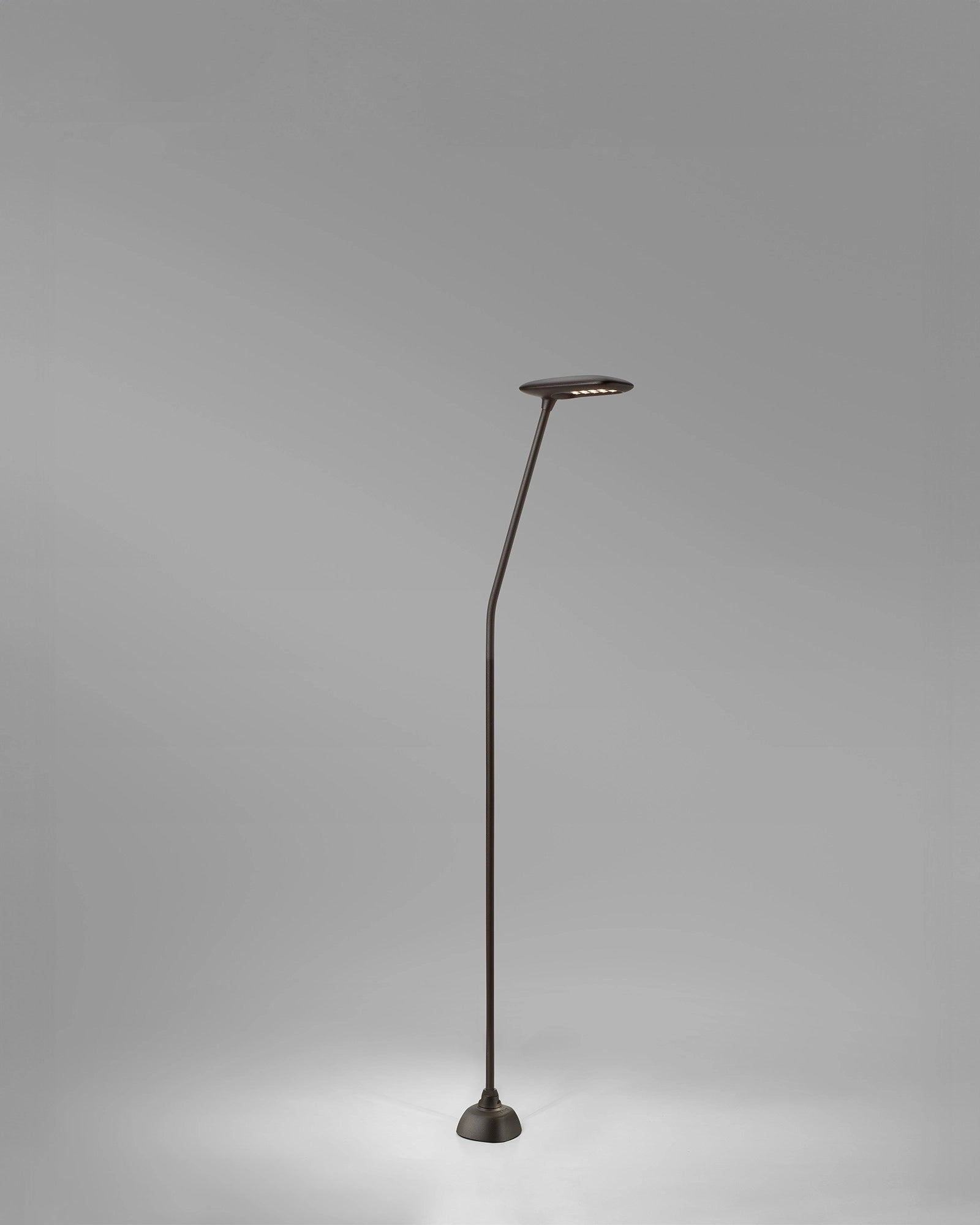 Birdie 1lt Spike Light