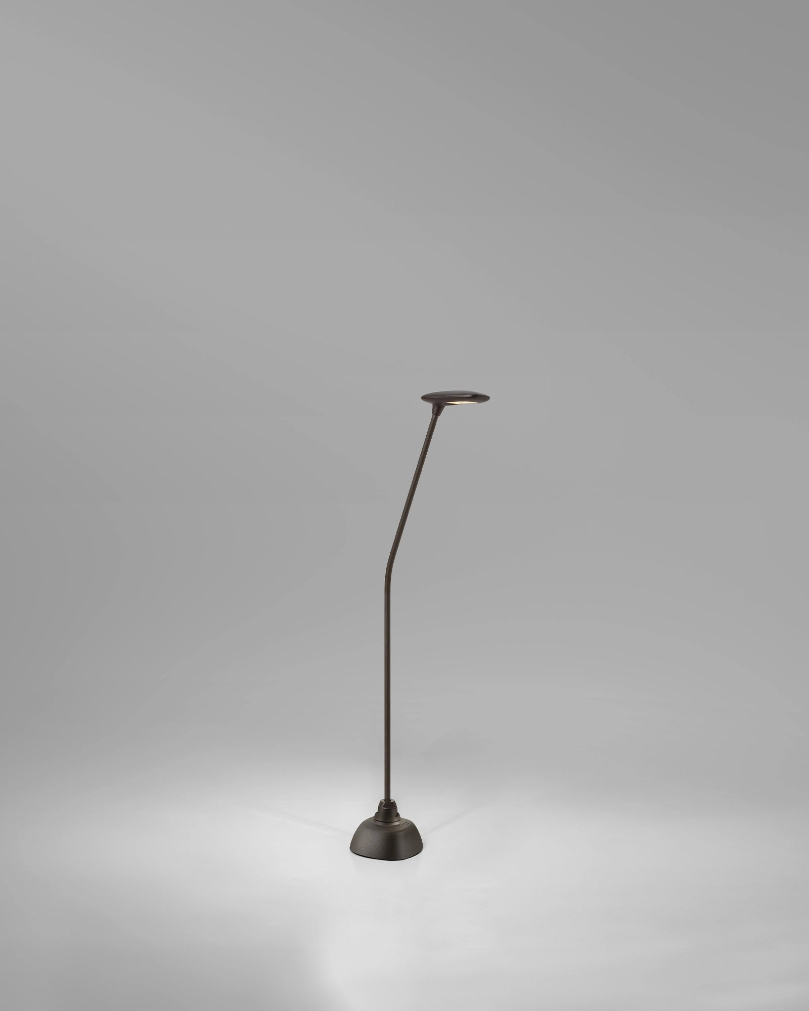 Birdie 1lt Spike Light