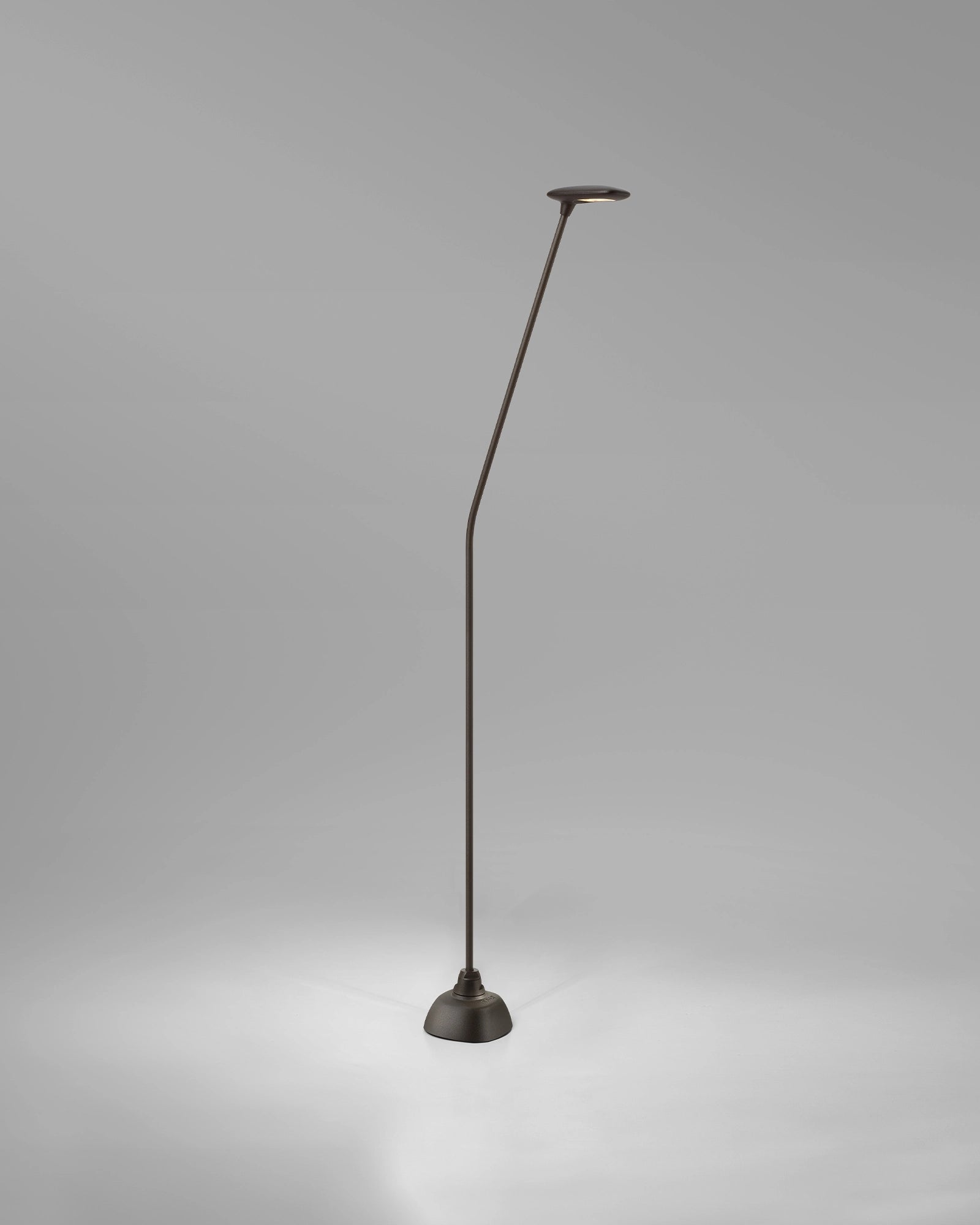 Birdie 1lt Spike Light