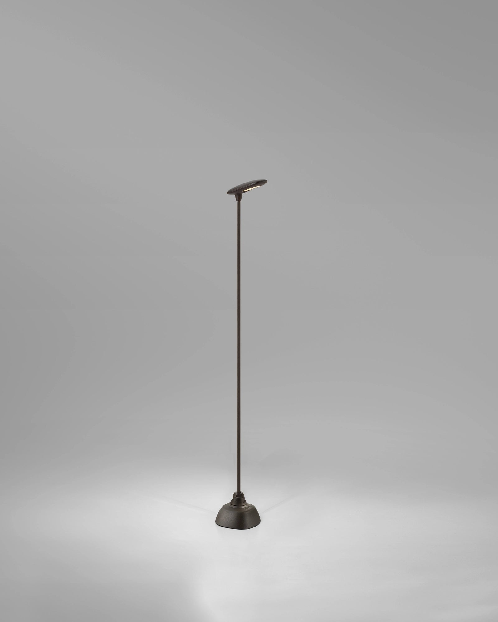 Birdie 1lt Spike Light
