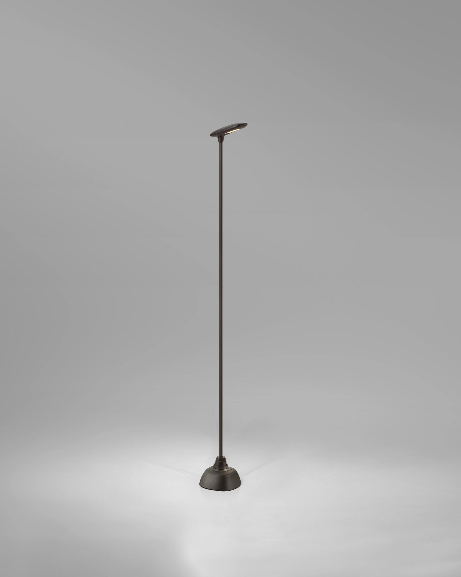 Birdie 1lt Spike Light