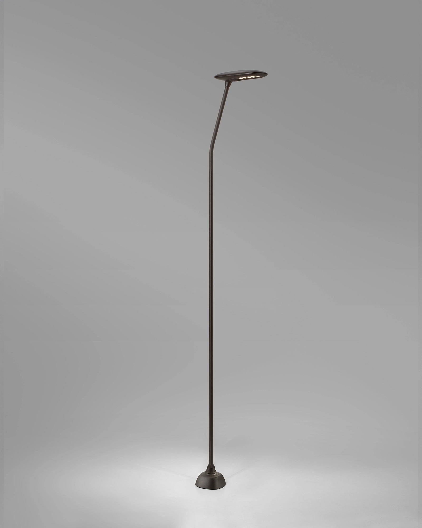 Birdie 1lt Spike Light