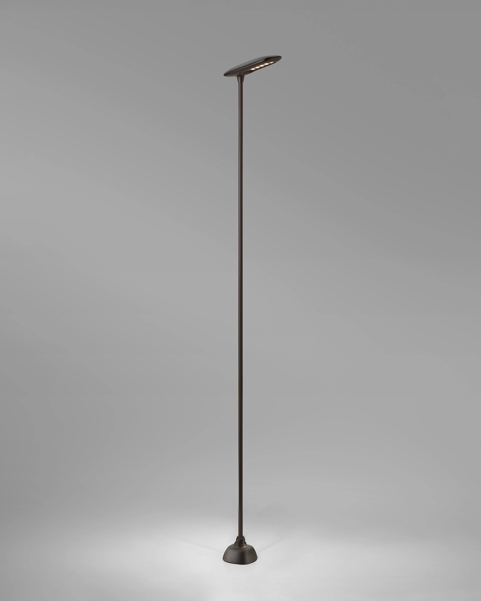 Birdie 1lt Spike Light