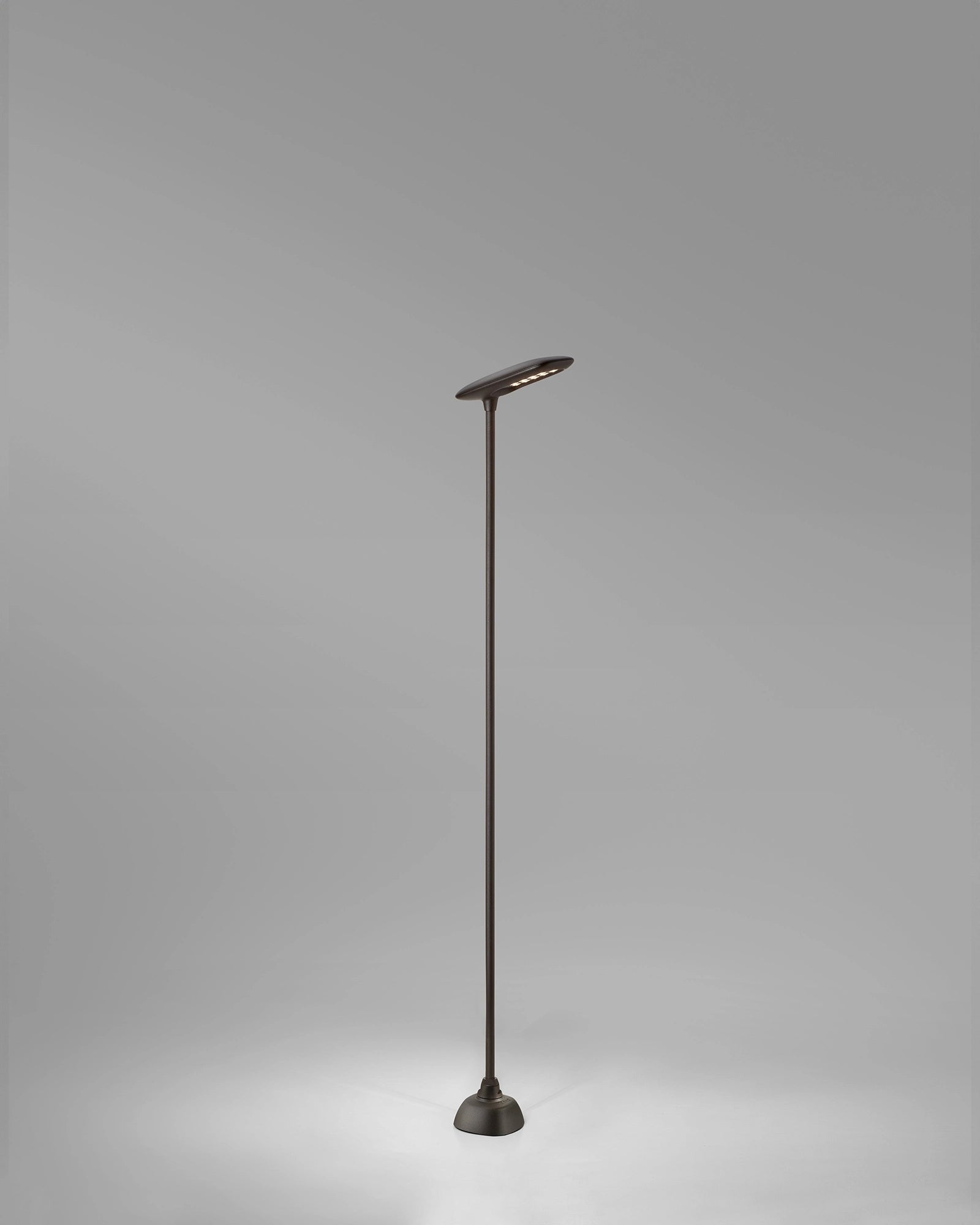 Birdie 1lt Spike Light