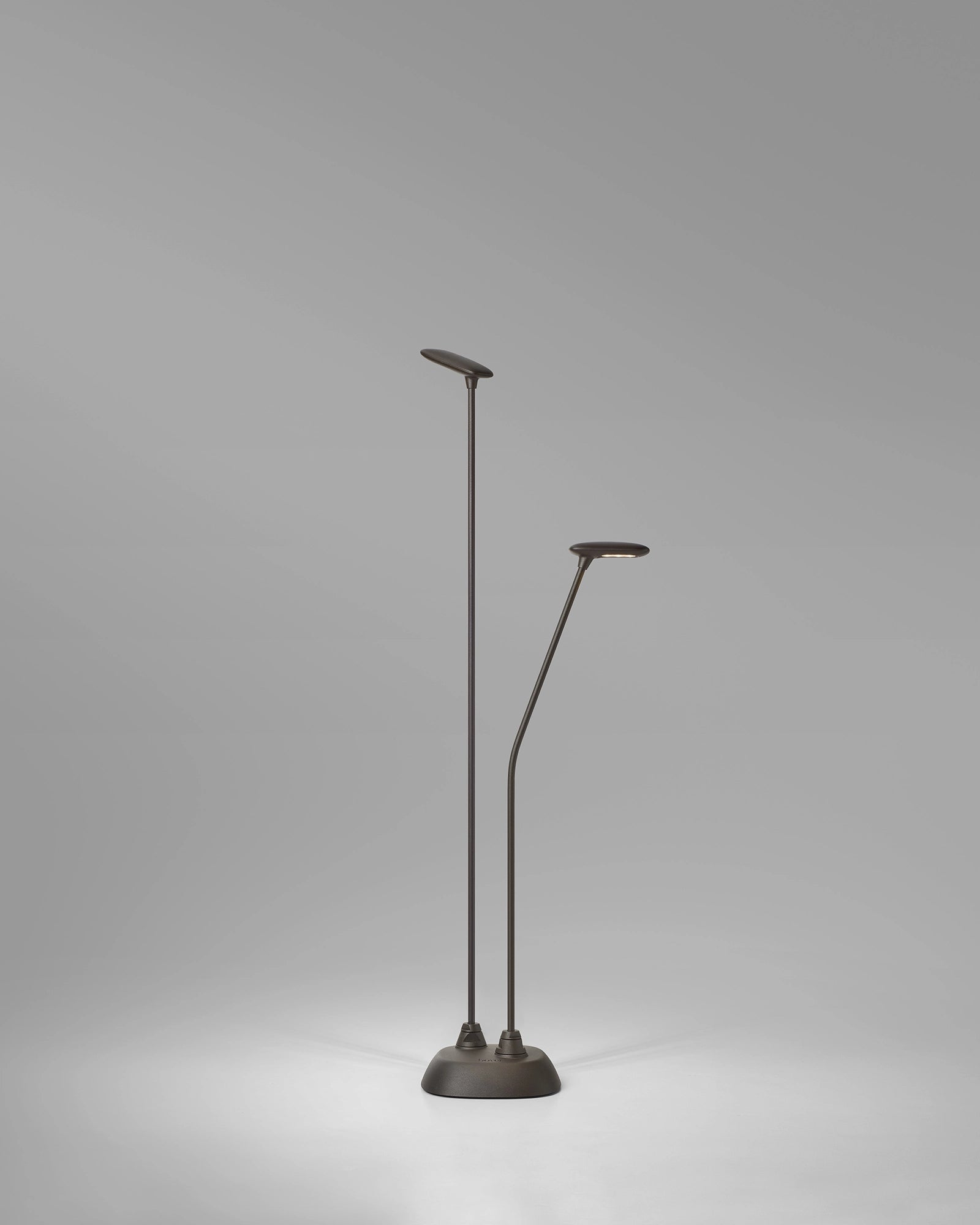 Birdie 2lt Spike Light