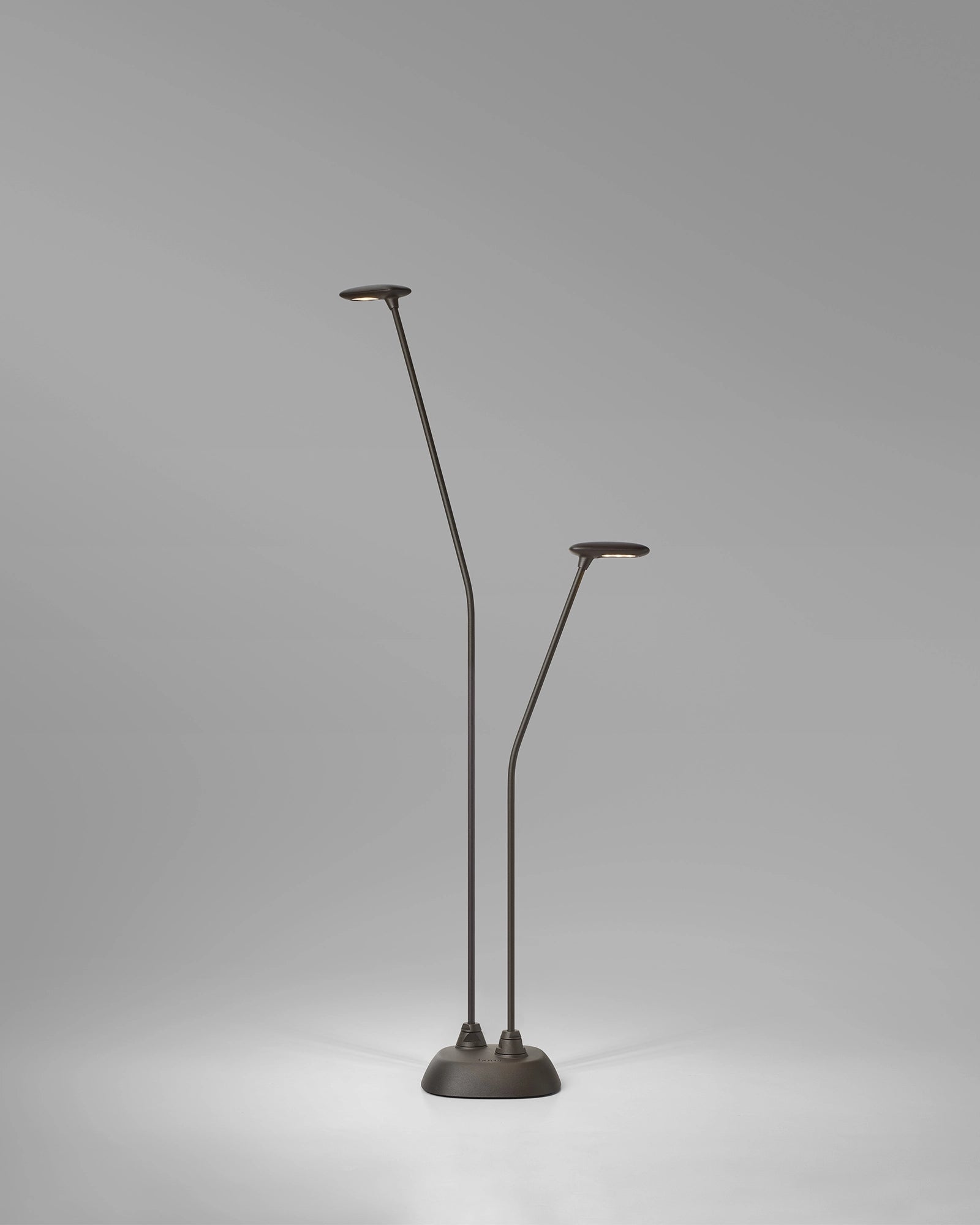 Birdie 2lt Spike Light