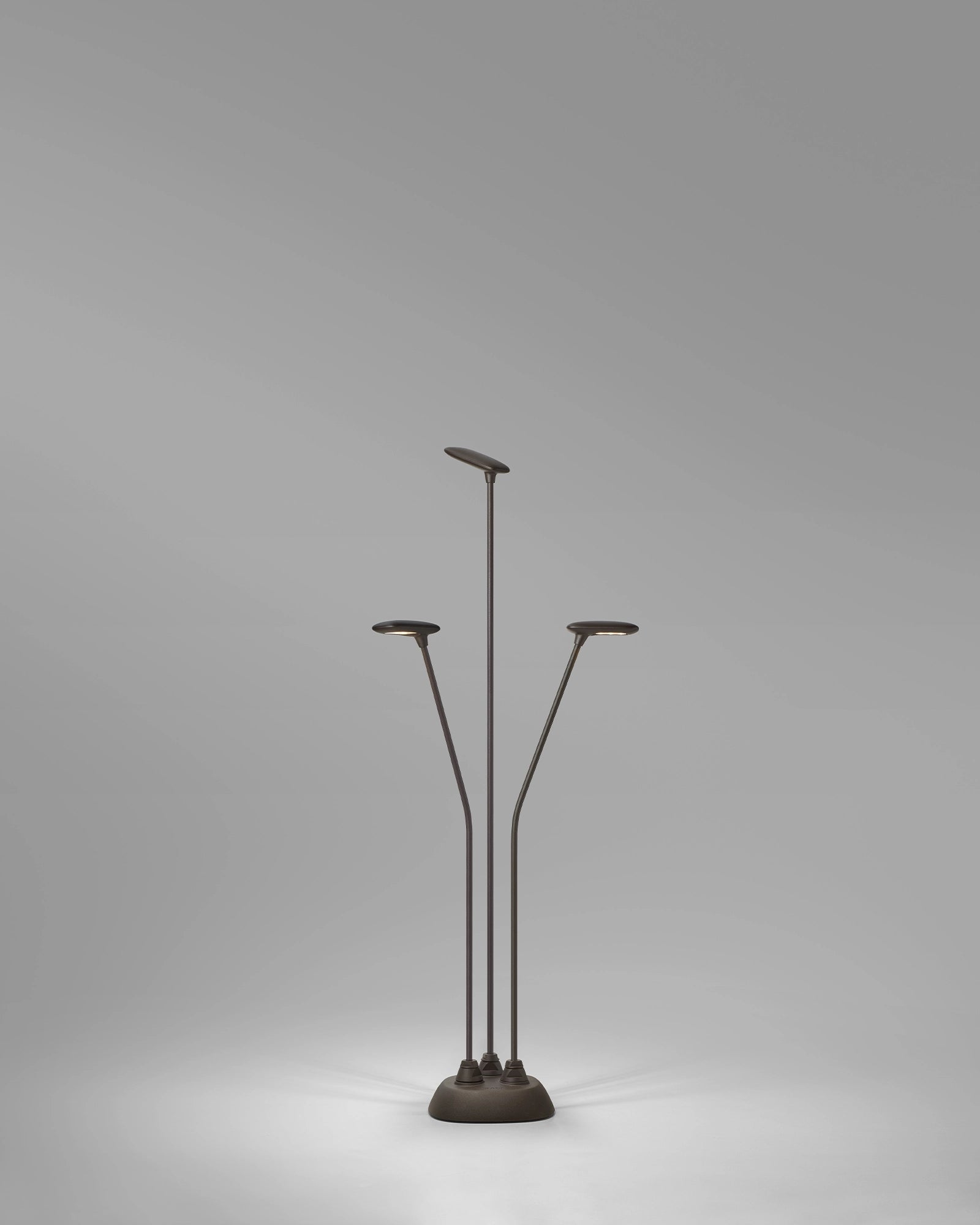 Birdie 3lt Spike Light