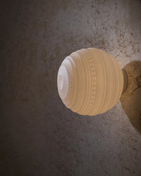 Braille Wall/Ceiling Light