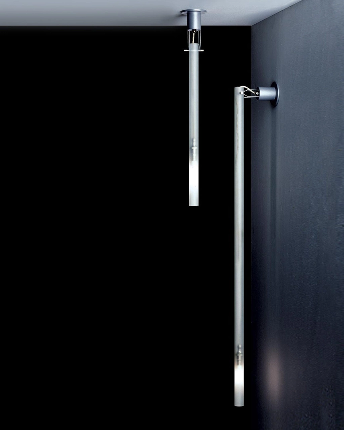 Canna Nuda Wall/Ceiling Light