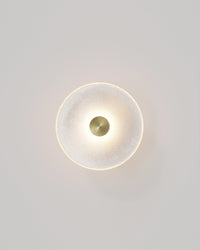 Coral Frosted Wall Light