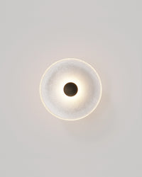 Coral Frosted Wall Light
