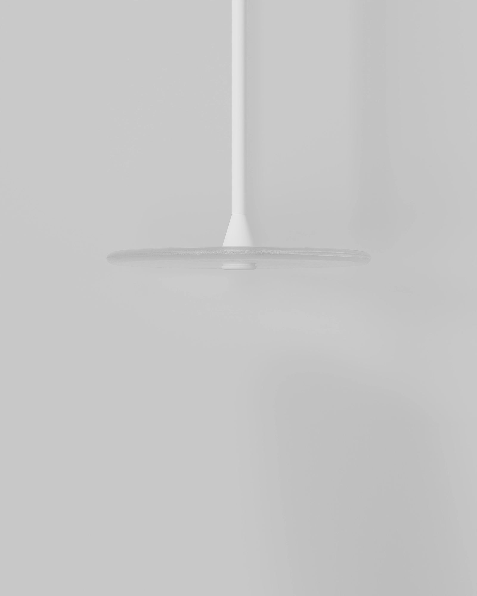 Coral Single Rod Pendant Light