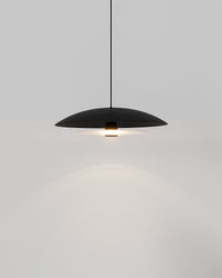 Coral Dome Pendant Light