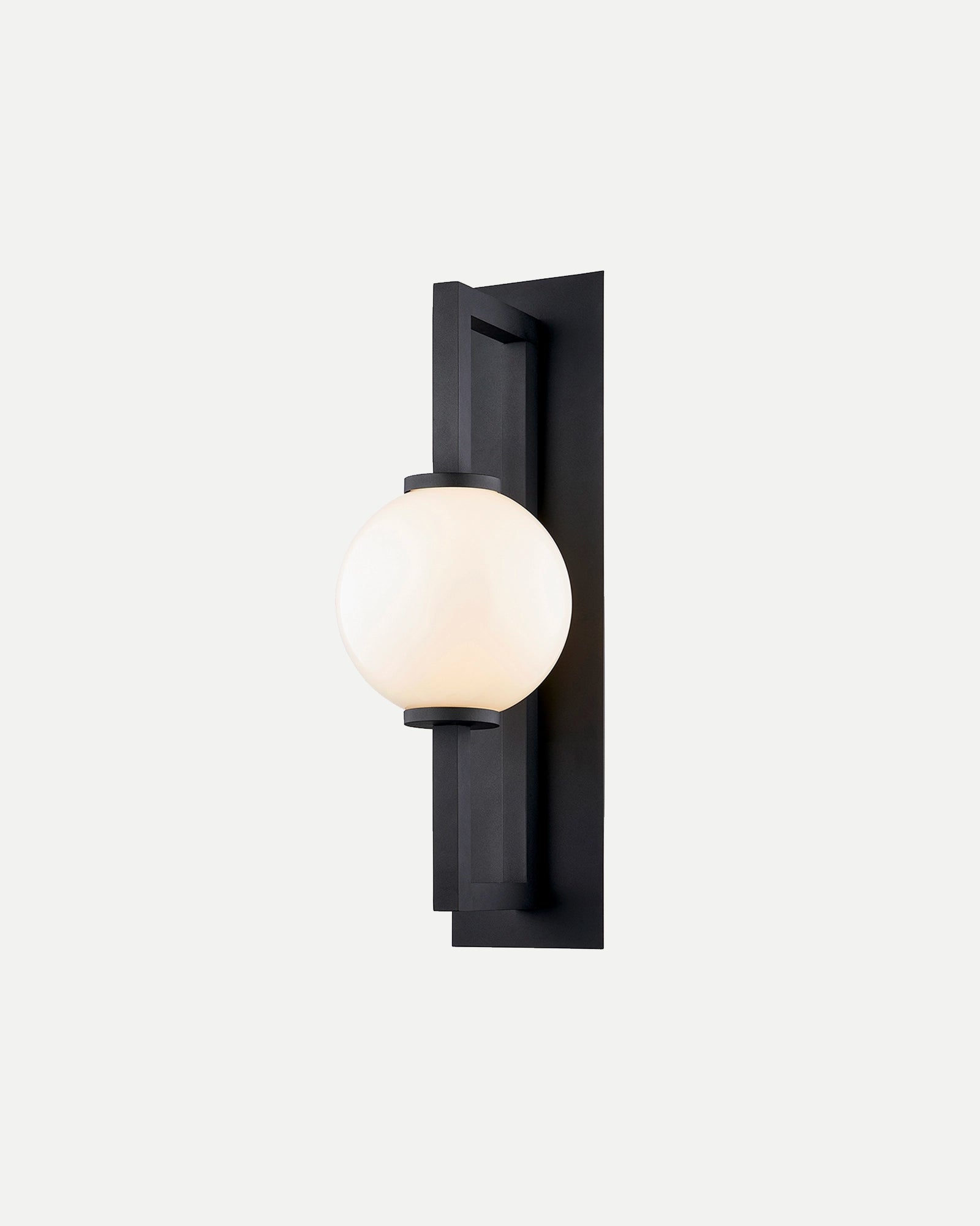 Darwin Wall Light