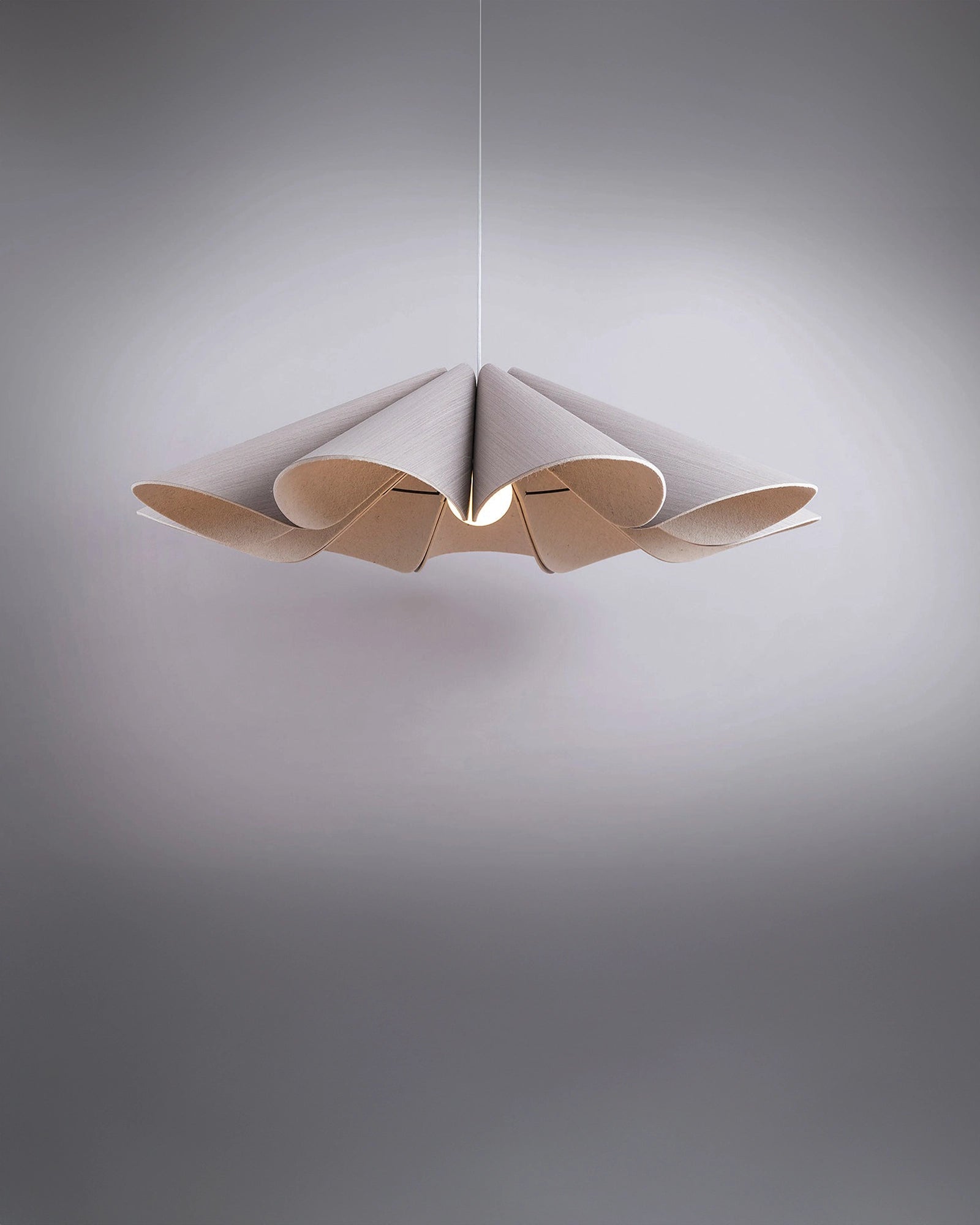 Delfina Acoustic Pendant Light