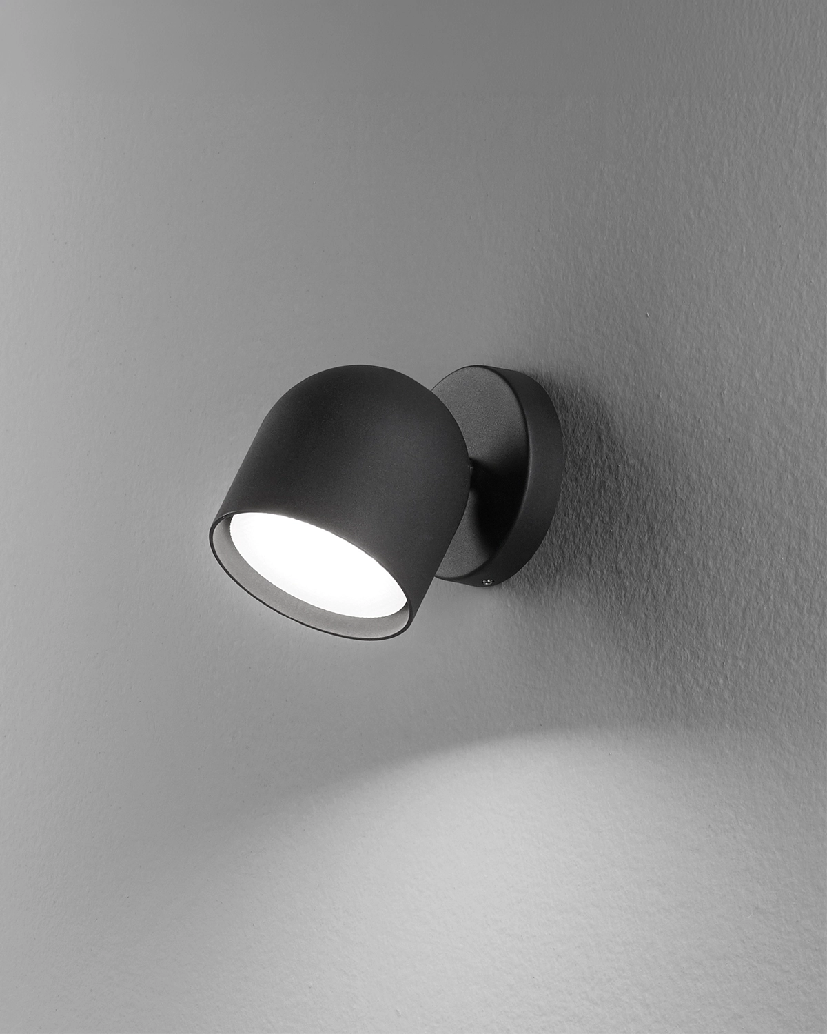 Dodo Wall Light