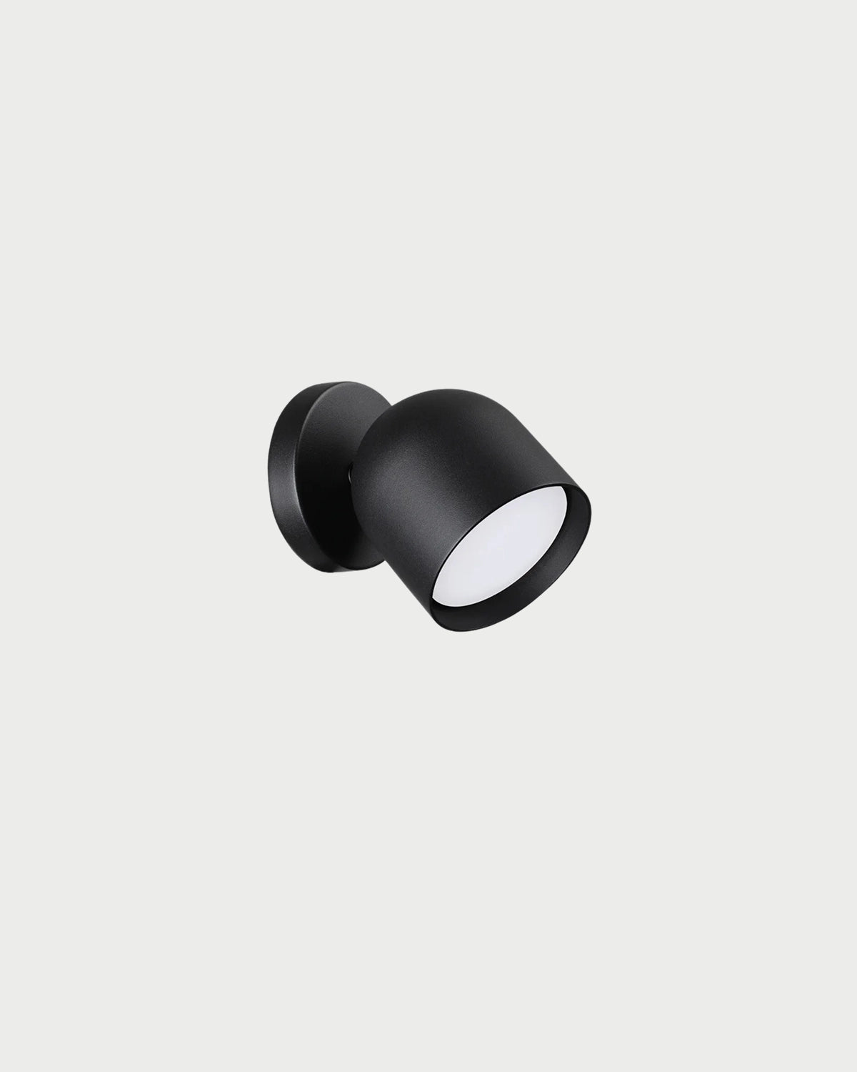 Dodo Wall Light