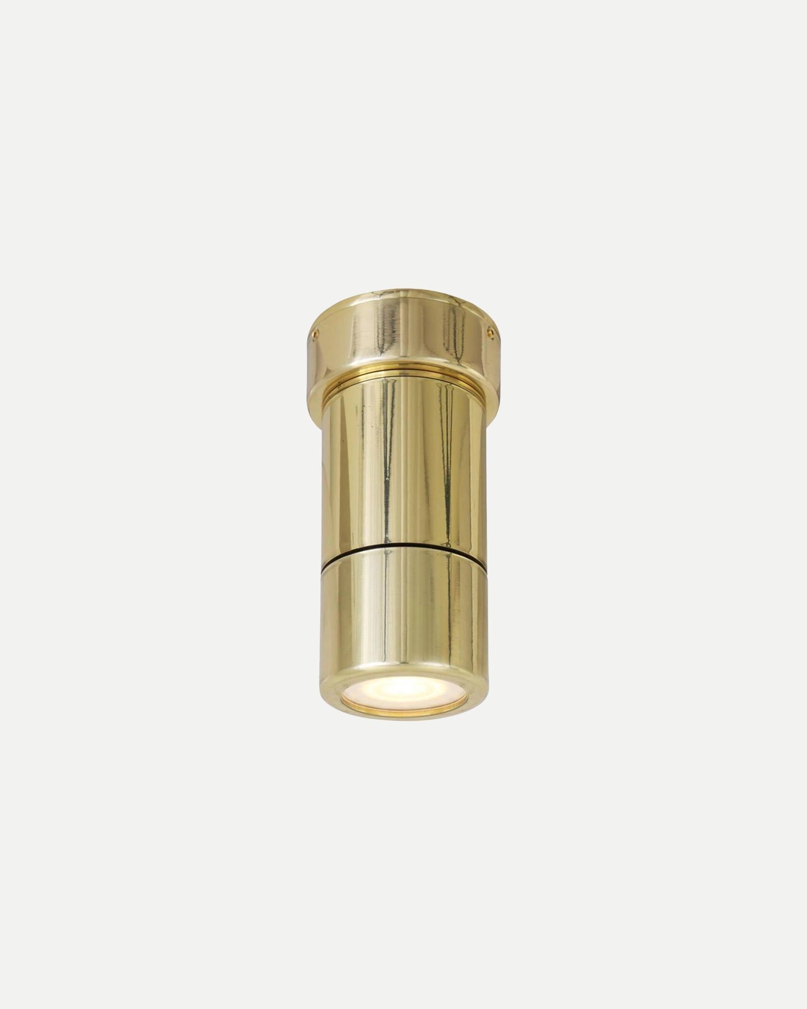 Ennis Spot Ceiling Light