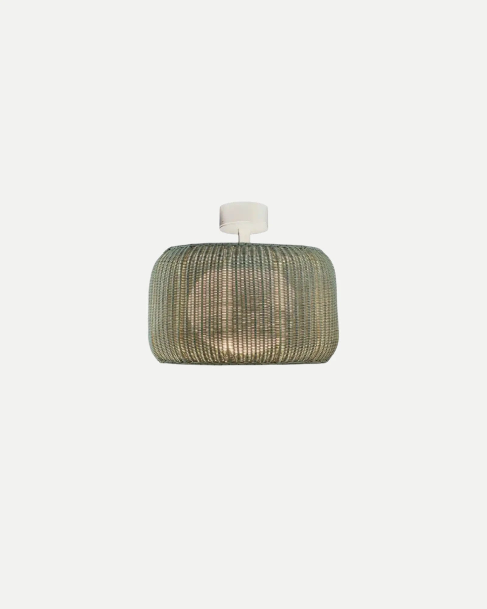 Fora Outdoor Ceiling Light