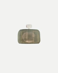 Fora Outdoor Ceiling Light