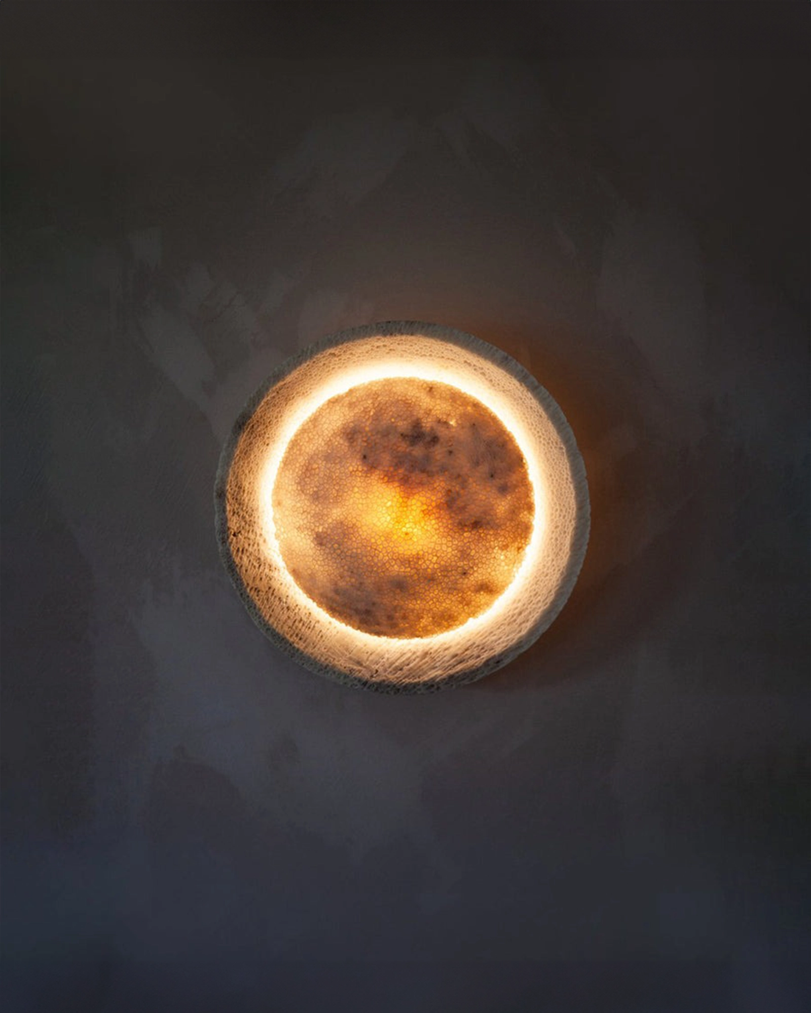 Fossil Coral Eclipse Wall Light