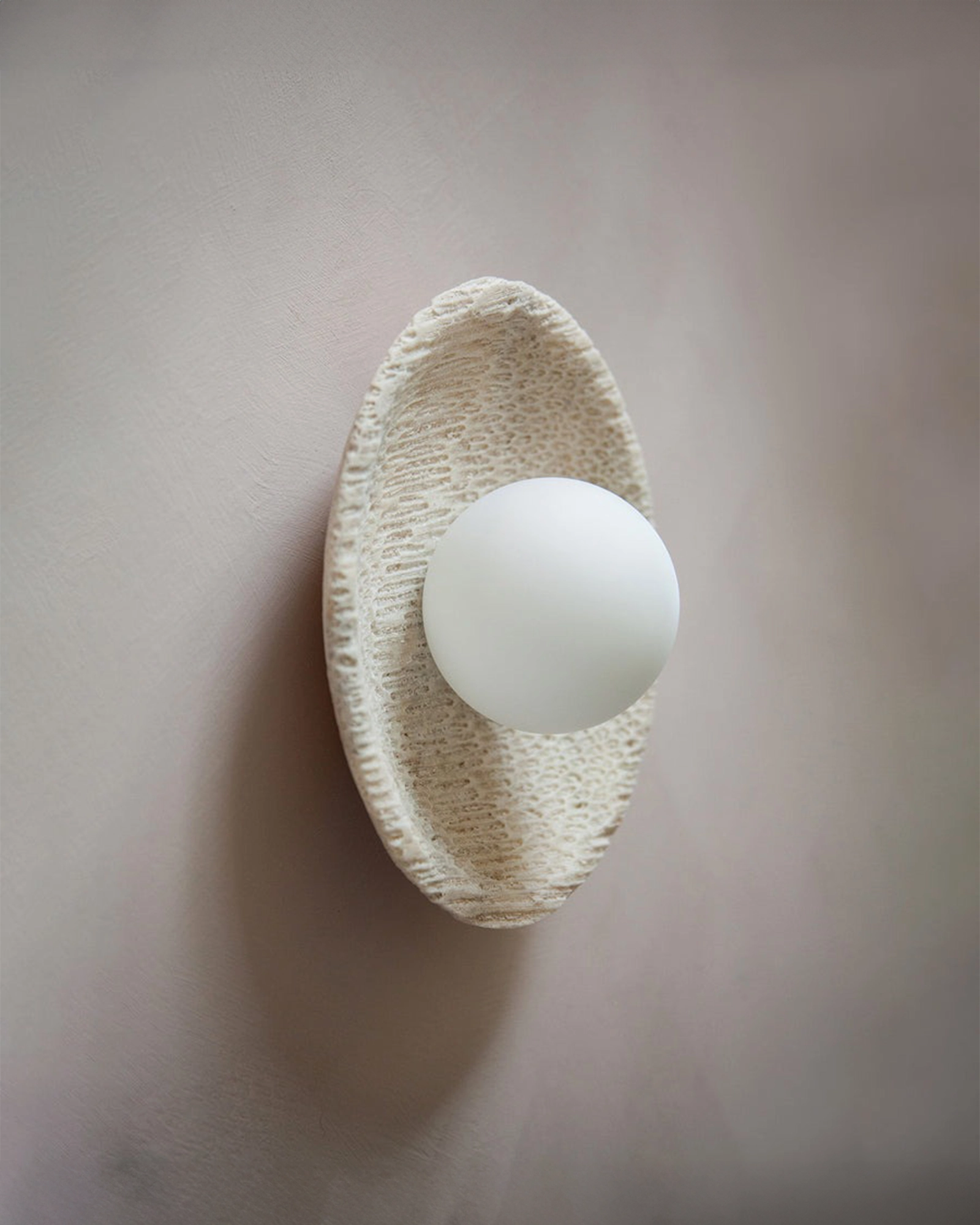 Fossil Coral Orb Wall Light