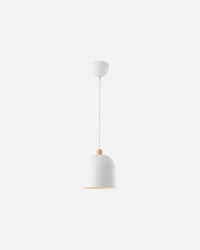 Gaston Pendant Light