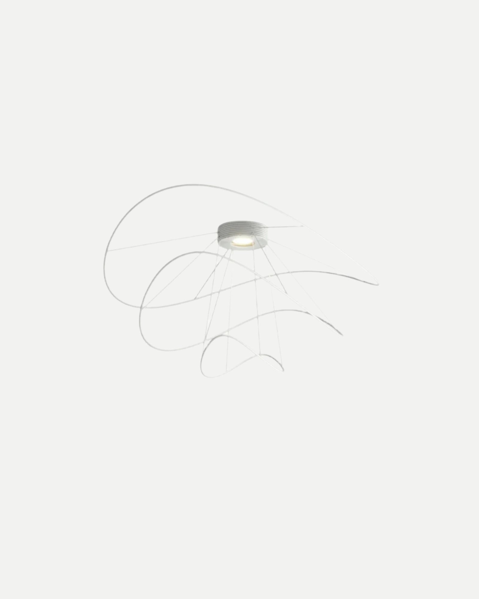 Hoops Ceiling Light