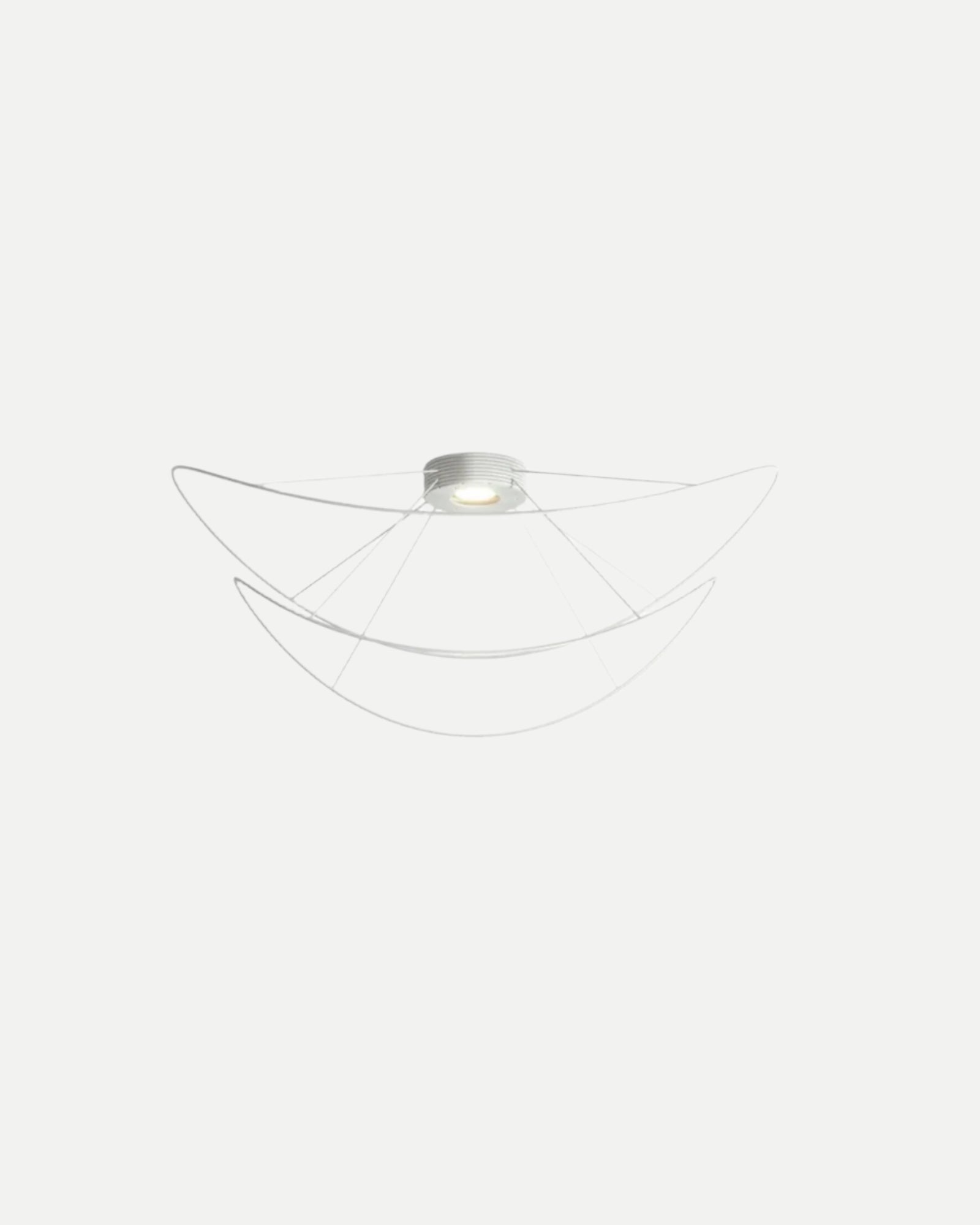 Hoops Ceiling Light