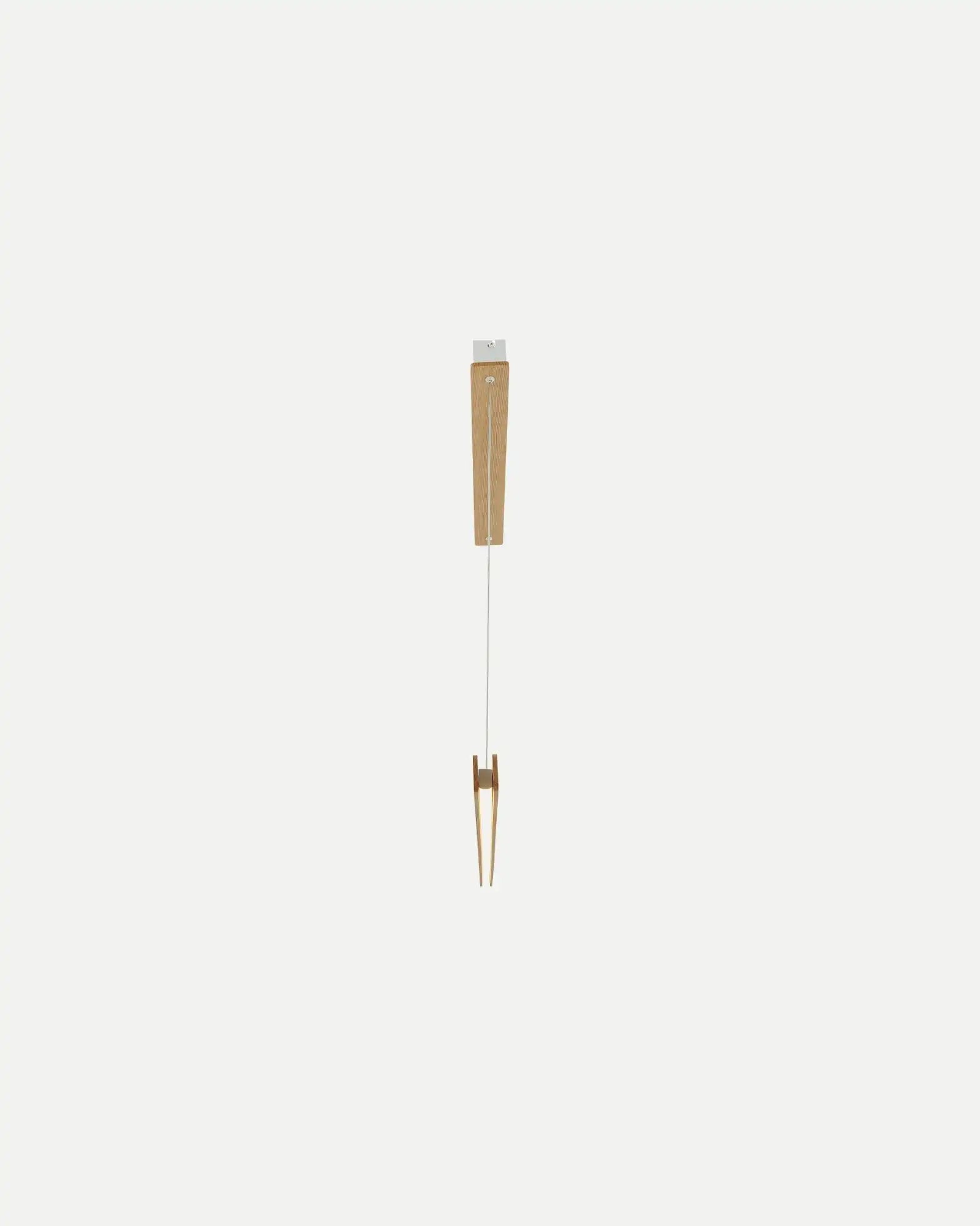 Ilgas Pendant Light