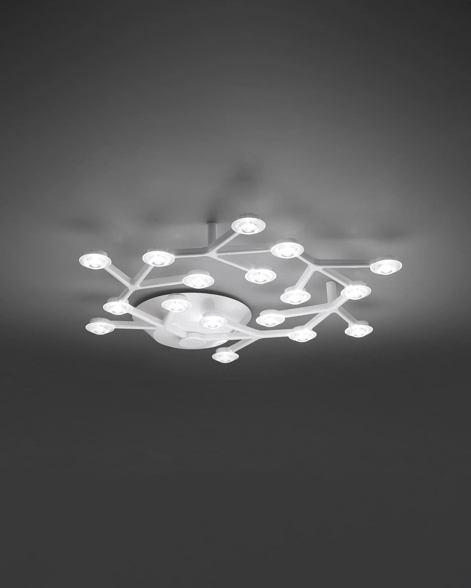 Led Net Circle Ceiling Light