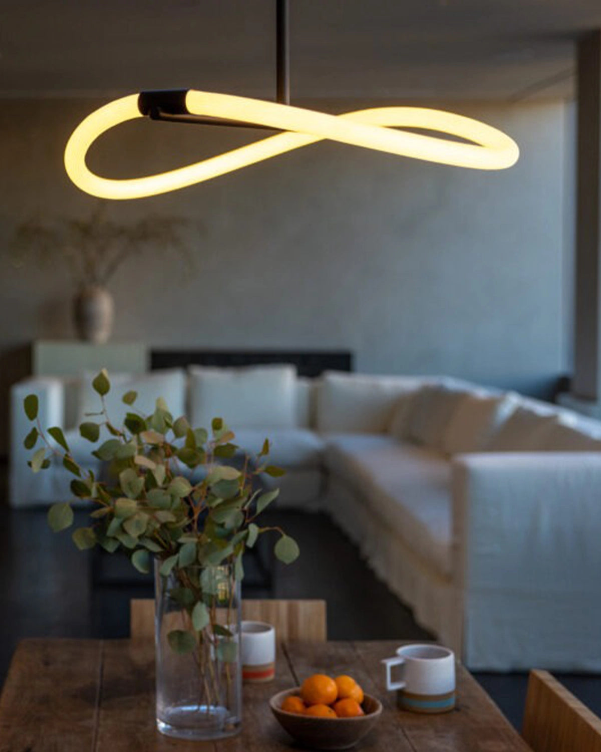 Levity Halo Pendant Light