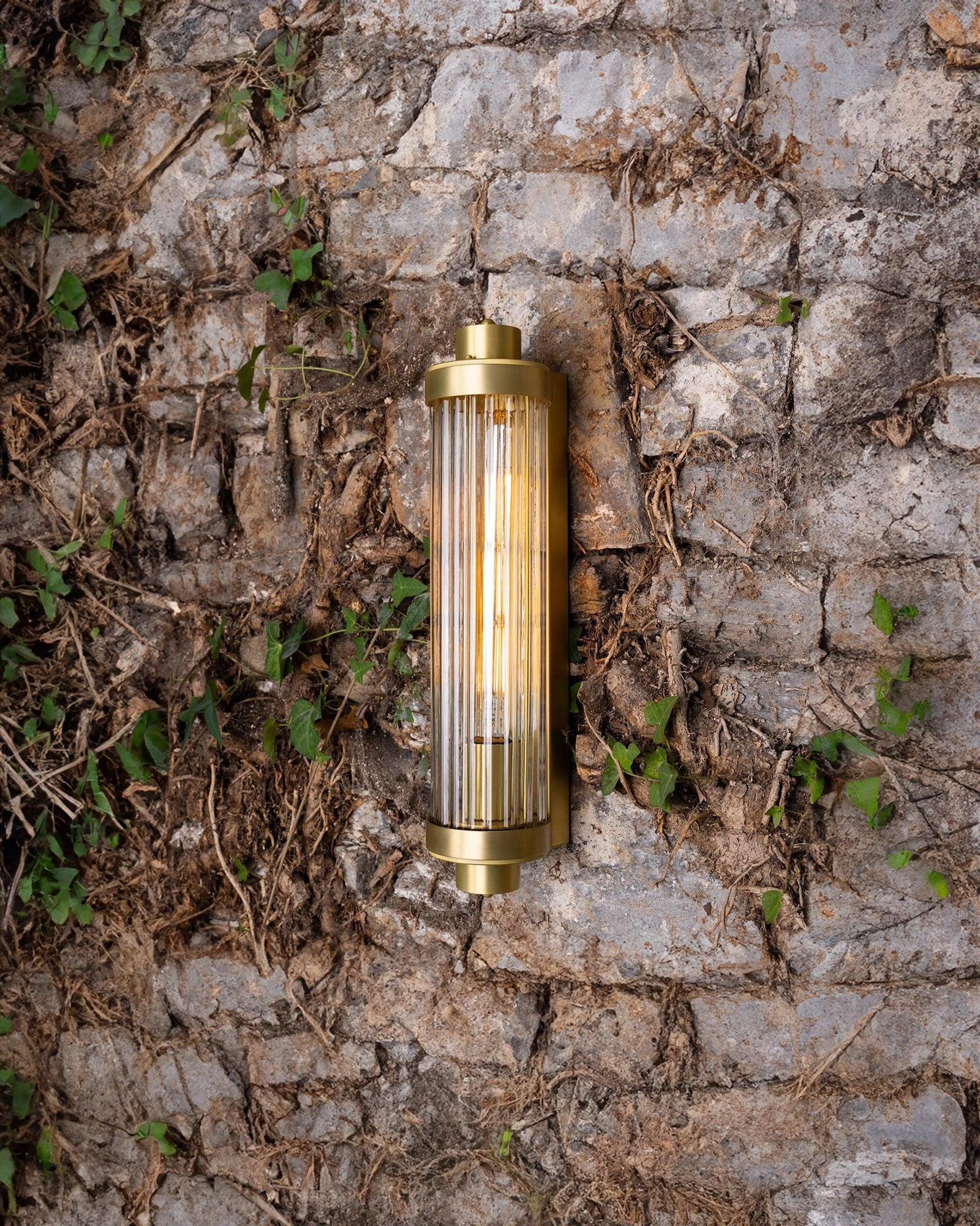 Louise Wall Light