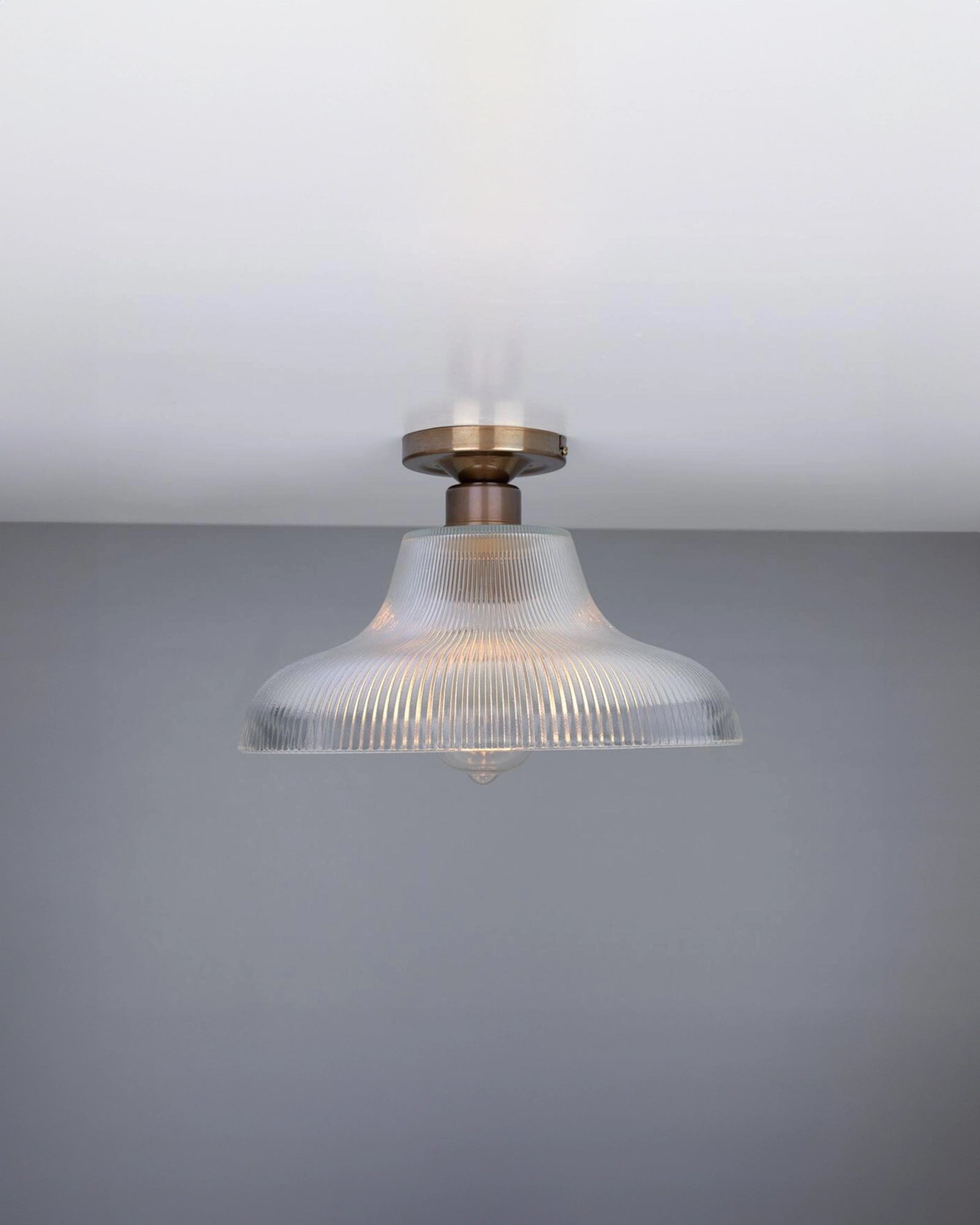 Mono Ceiling Light