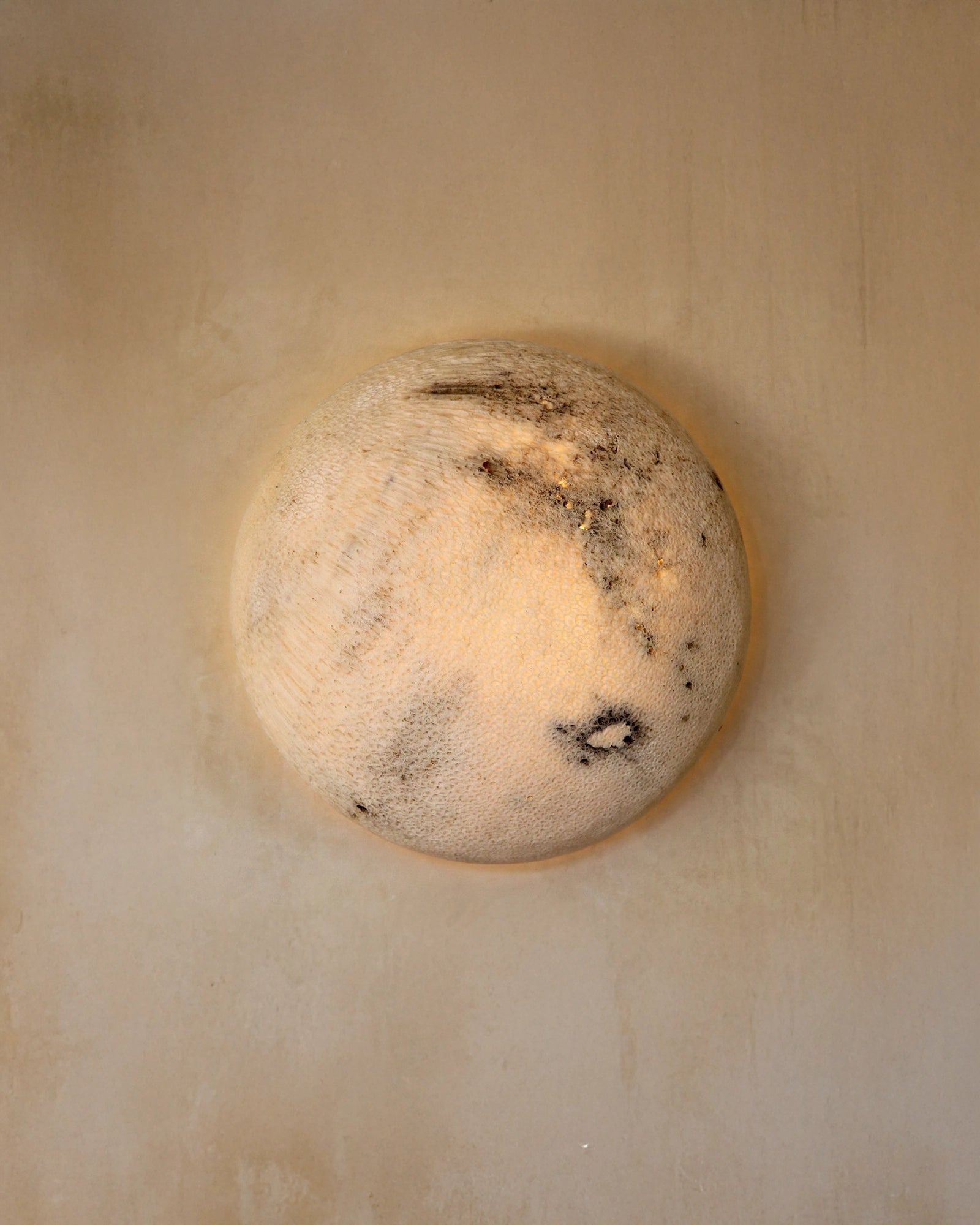 Fossil Coral Moon Wall Light