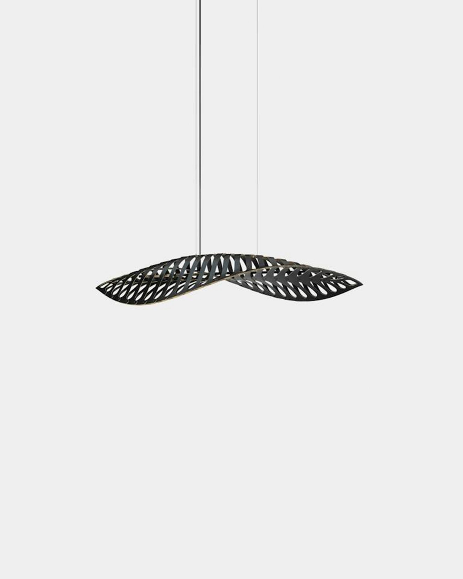 Navicula Pendant Light