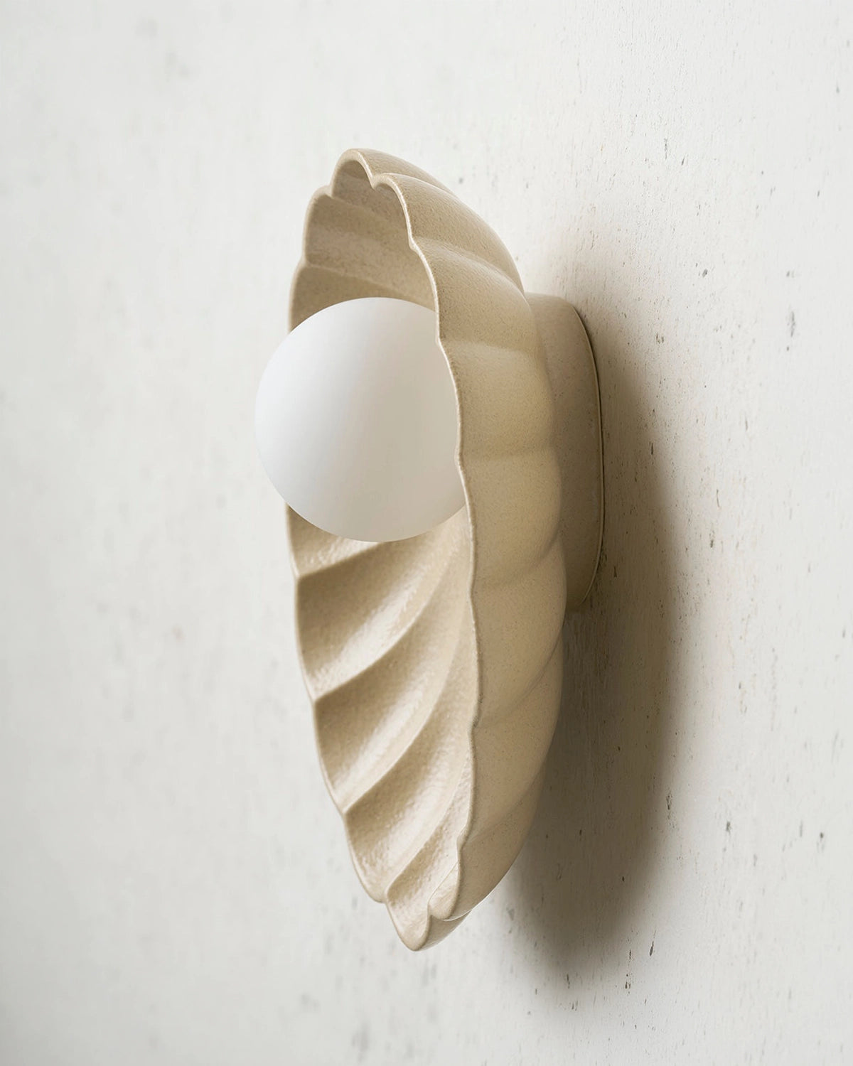 Oyster Wall Light