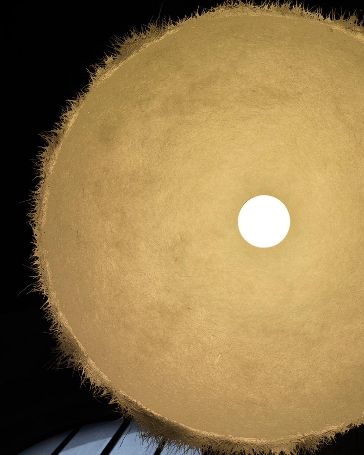 Plancton Pendant Light