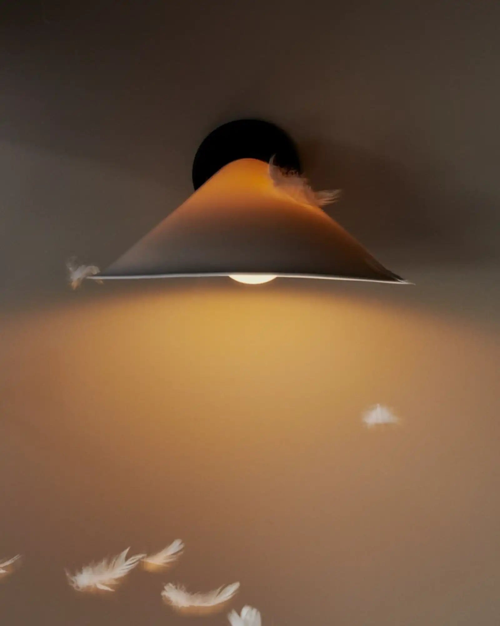 Plume Wall Light by DCW Editions | Nook Collections