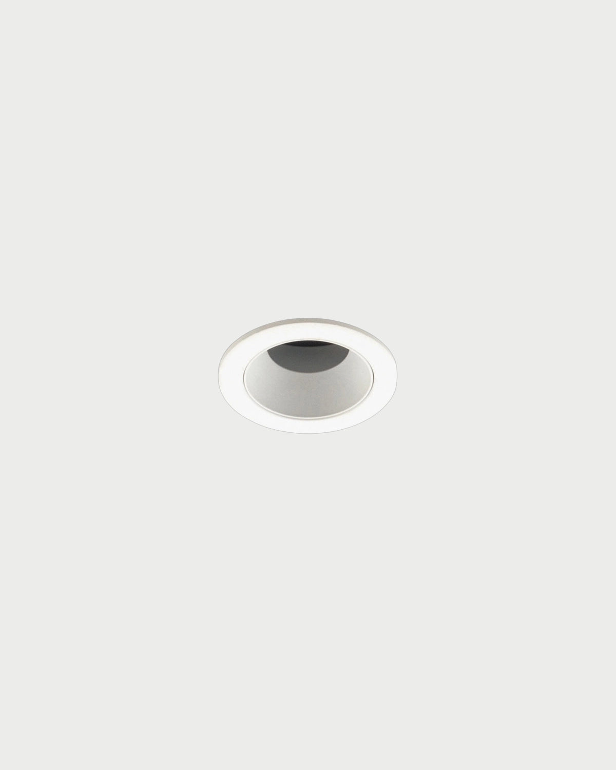 Rai 40 Downlight