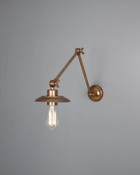 Reznor Adjustable Wall Light