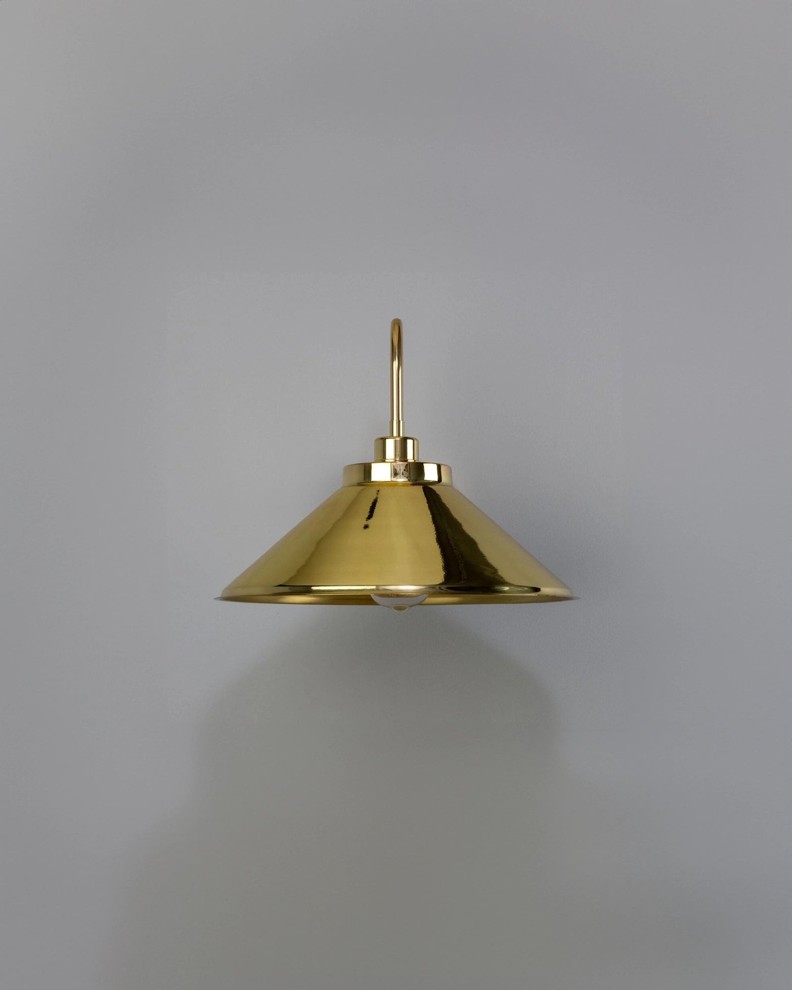Rio Swan Neck Wall Light
