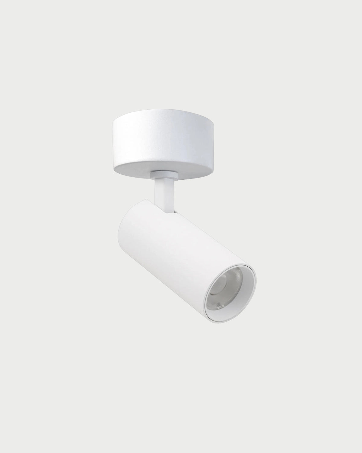 Rogue Ceiling Spot Light
