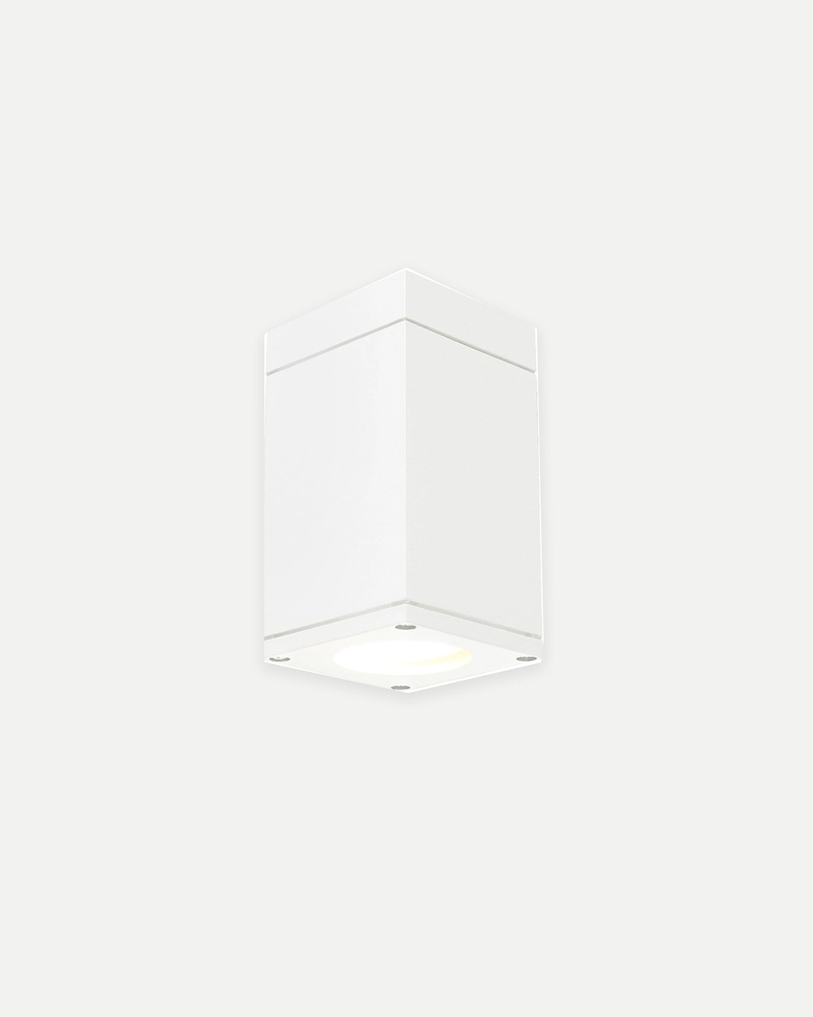 Sandvik Ceiling Light