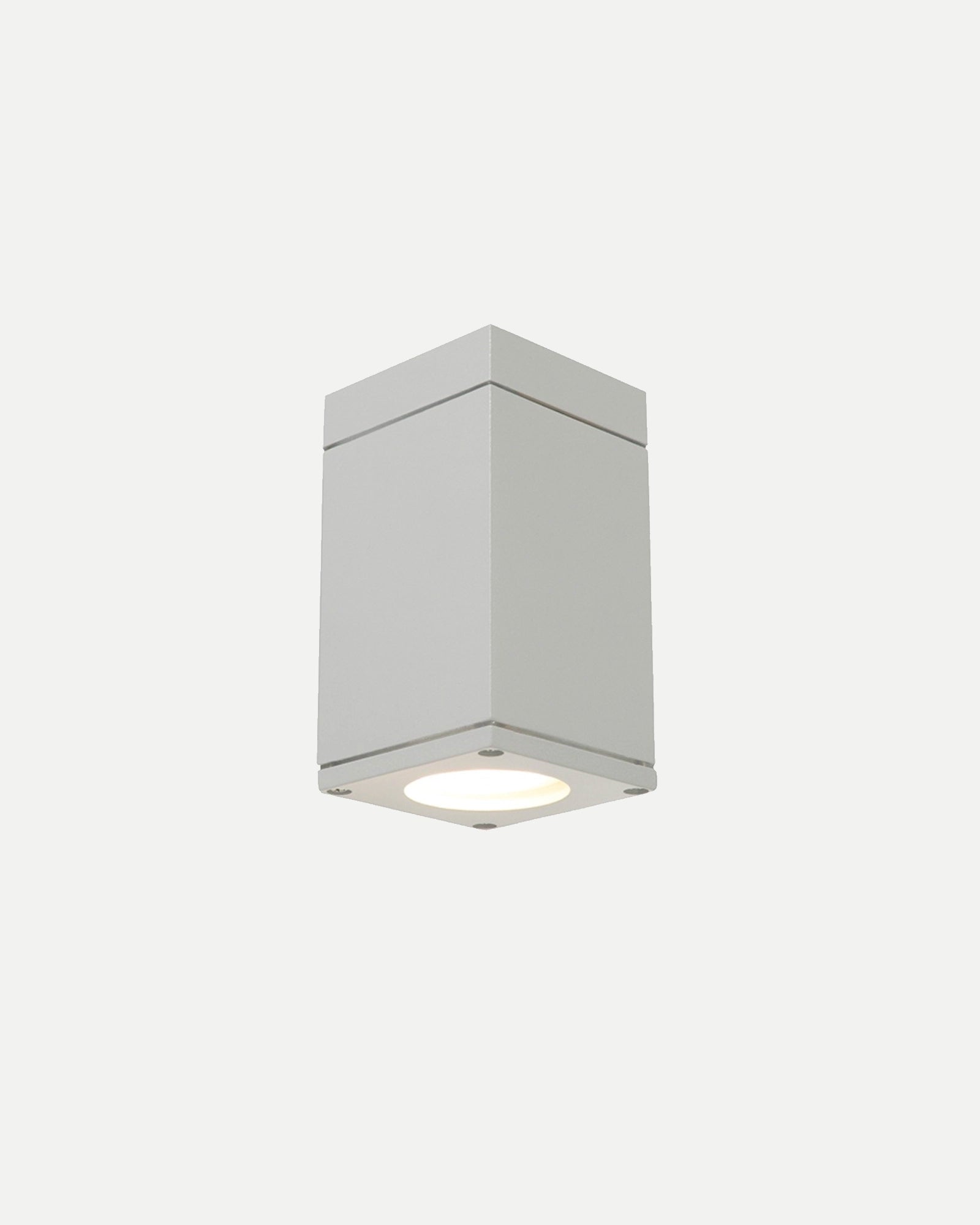 Sandvik Ceiling Light